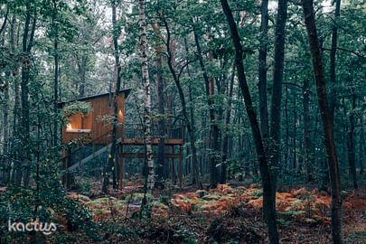 Ecolodge cosy et ouvert sur la forêt