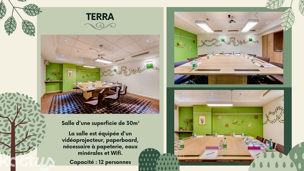 Terra - Boardroom 12 personnes